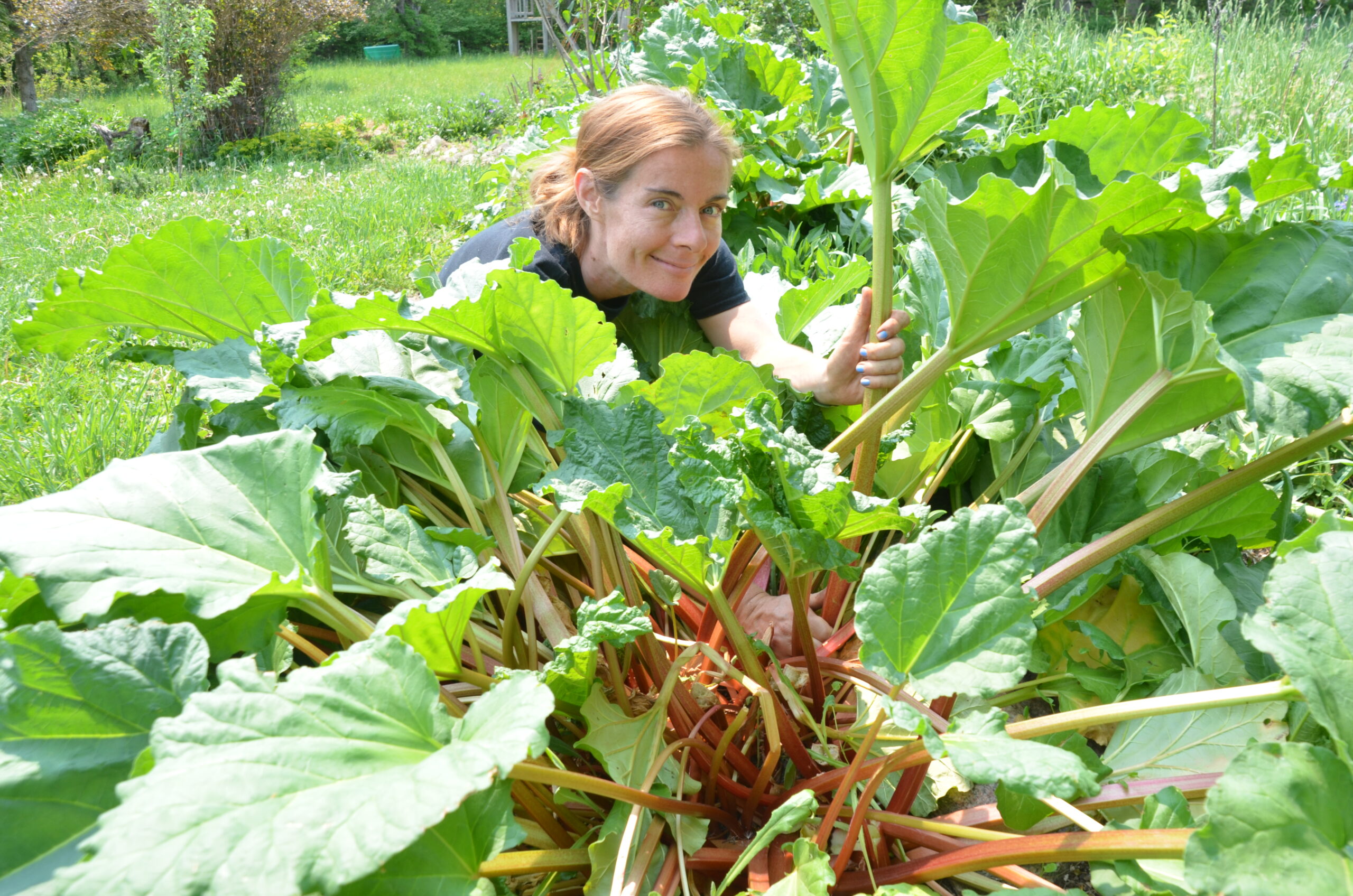 nina-rhubarb