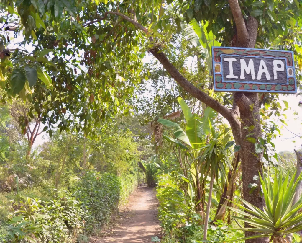 imap-path-min
